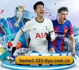 333体育网站 APP