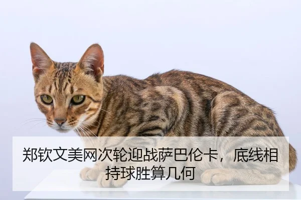 郑钦文美网次轮迎战萨巴伦卡，底线相持球胜算几何